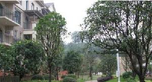 工程小區 工程小區