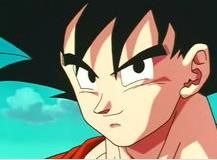 孫悟空/卡卡羅特