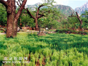 龍山自然風景旅遊區