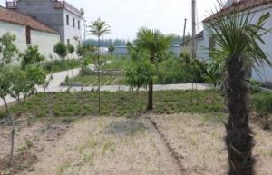 南范莊村 南范莊村