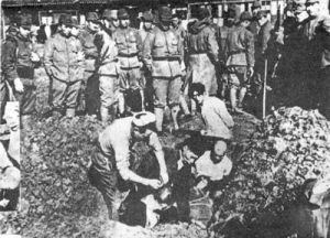 四·一二大掃蕩 四·一二大掃蕩