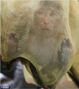 在高棉，捕獵者捉到一隻猴子後，把它放進袋子裡。