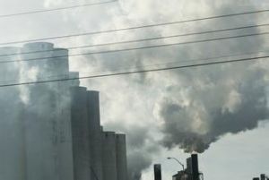 大氣污染生物監測 大氣污染生物監測