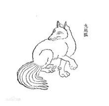 九尾狐