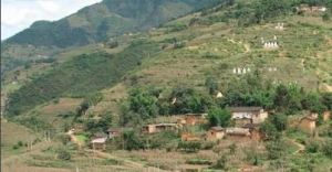 掃者烏村 掃者烏村