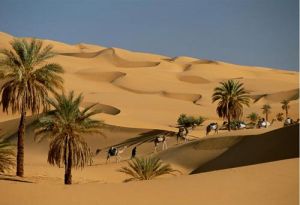 《撒哈拉沙漠》