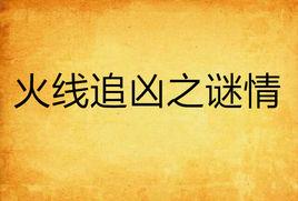 火線追兇之謎情 火線追兇之謎情