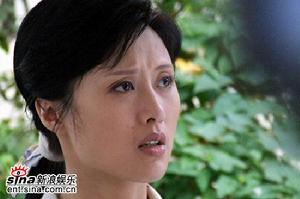 《悠悠寸草心》