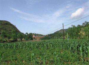 鎖家溝村 鎖家溝村