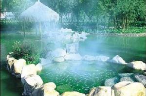 溫泉[自然泉水]