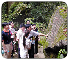 蘇轍游洞山詩刻 蘇轍游洞山詩刻