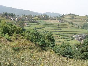 卡子密村自然資源-耕地