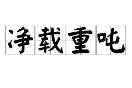 淨載重噸 淨載重噸