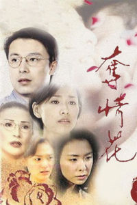 浪漫情花 浪漫情花