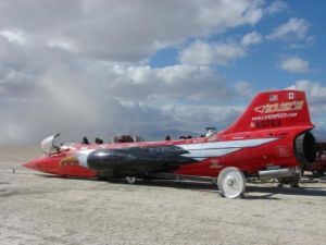 北美之鷹 北美之鷹