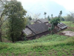 白沙地自然村 白沙地自然村