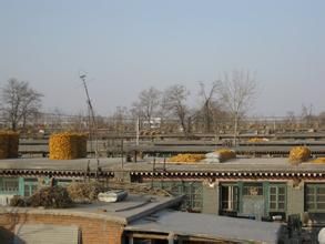 龐馬莊村 龐馬莊村