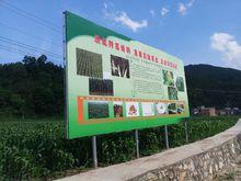 冷水鎮[河南省欒川縣冷水鎮]