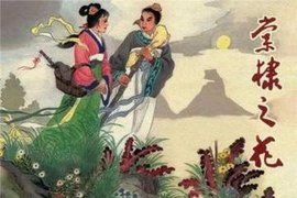 棠棣之花 棠棣之花