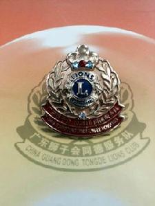 廣東獅子會同德服務隊 廣東獅子會同德服務隊