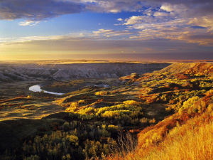美洲野牛澗地帶 美洲野牛澗地帶