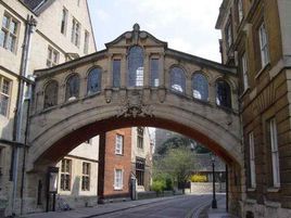 天鵝湖大學 天鵝湖大學