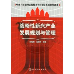 戰略性新興產業發展規劃與管理