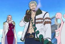 波特卡斯·D·提娜