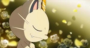 喵喵在合眾地方登場時