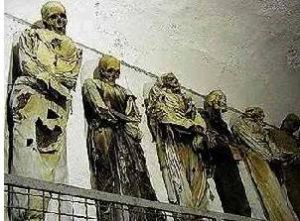 嘉布遣會修士 嘉布遣會修士