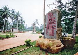 紅旗鎮[遼寧省鳳城市紅旗鎮]