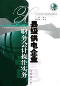 縣級供電企業財務會計操作實務 縣級供電企業財務會計操作實務