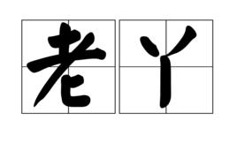 老丫 老丫