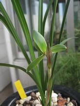 漓渚第一仙 漓渚第一仙