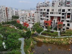 半山溪谷 半山溪谷