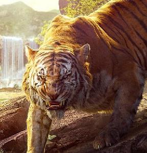 森林之子[2016年喬恩·費儒執導電影]