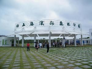 上海濱海森林公園