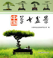 《中國草書盆景》