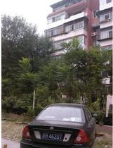 北街小區 北街小區