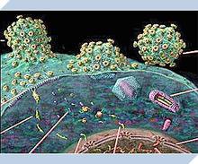 國家重大科技專項