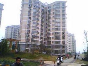 石婆婆廟01-12幢 石婆婆廟01-12幢