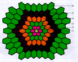 原發性視網膜色素變性