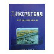 工業廢水處理工程實例 工業廢水處理工程實例