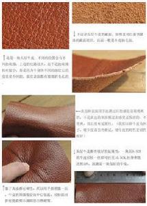 皮料鑑別知識 皮料鑑別知識