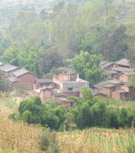 李中寨自然村 李中寨自然村