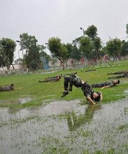 鯉魚打挺 鯉魚打挺