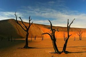 納米比亞死亡谷 納米比亞死亡谷