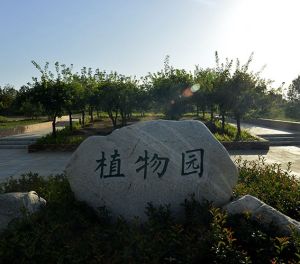 銅川植物園 銅川植物園