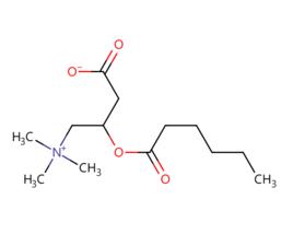 己醯基肉鹼 己醯基肉鹼