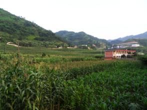 鹿子壩村 鹿子壩村